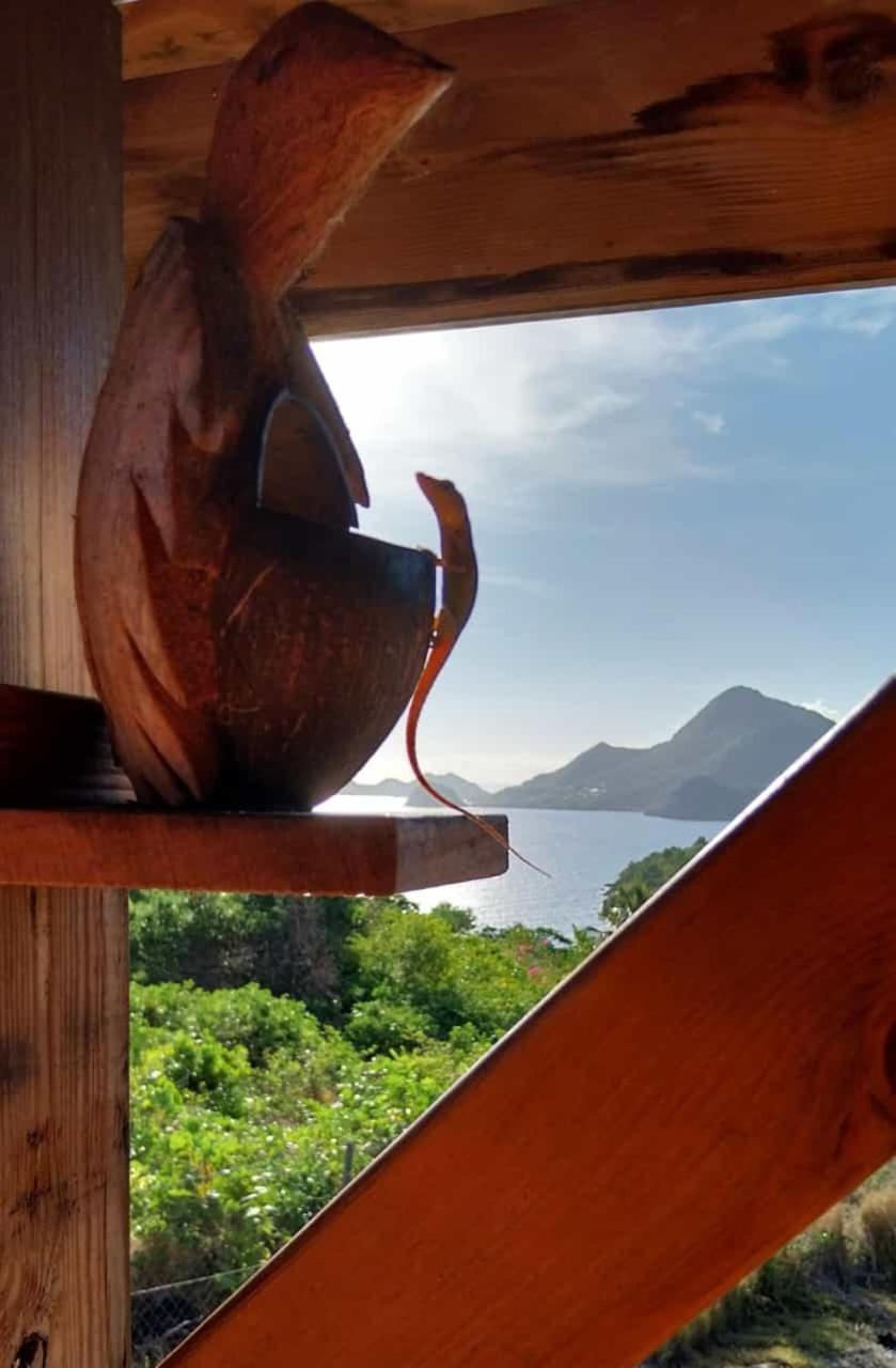 Ti Kaz Anoli Cottage En Bois Avec Vue Sur La Baie Terre-de-Bas Kültér fotó